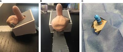 CIRCumcision learning experience using simulation: A pilot learning platform for safe neonatal circumcision training offered either virtually or in person
